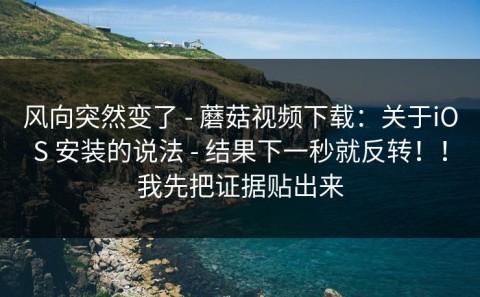 风向突然变了 - 蘑菇视频下载：关于iOS 安装的说法 - 结果下一秒就反转！！我先把证据贴出来